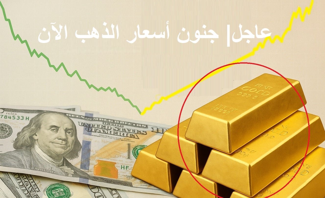 image 1771620878 P0b5