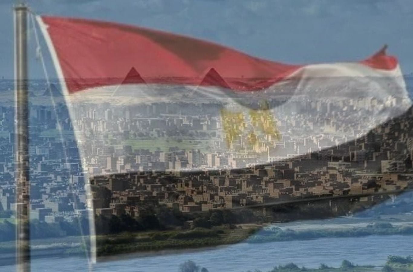 image 1771688451 D9oQ