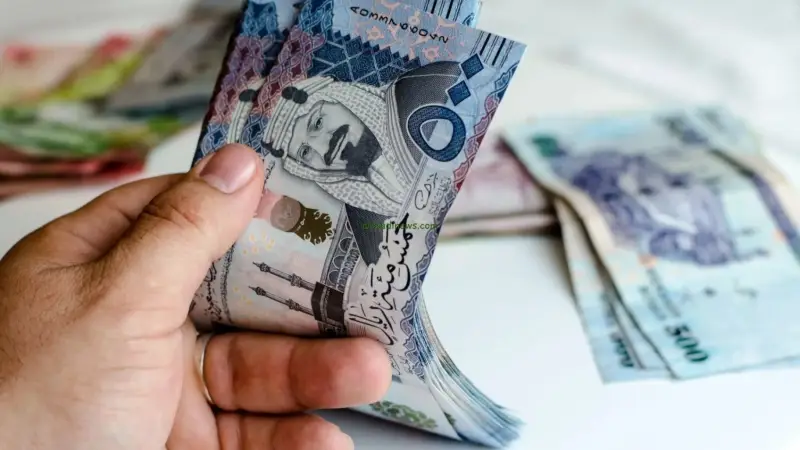 1735554480800 oXOGd 5