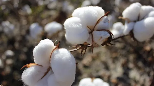 2021 12 4 23 20 48 468