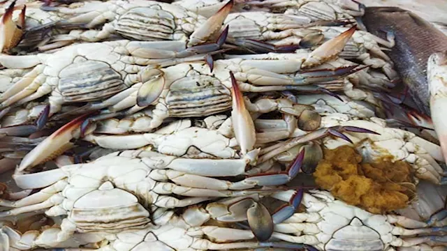 2022 4 8 15 33 57 320