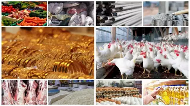 2023 7 3 15 27 56 877 2