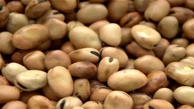 2023 8 2 18 58 48 818