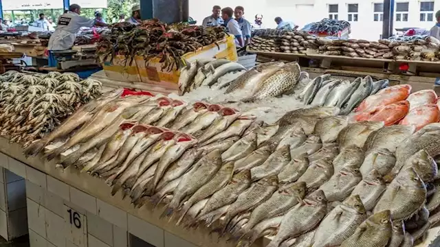 2024 11 4 10 57 21 856