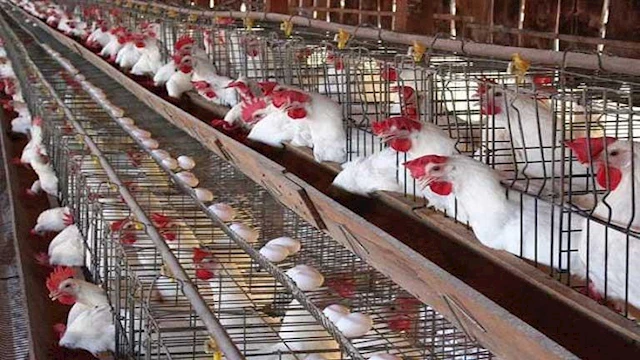 2024 2 26 10 19 11 95