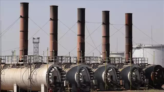 2025 2 22 18 7 14 586 1