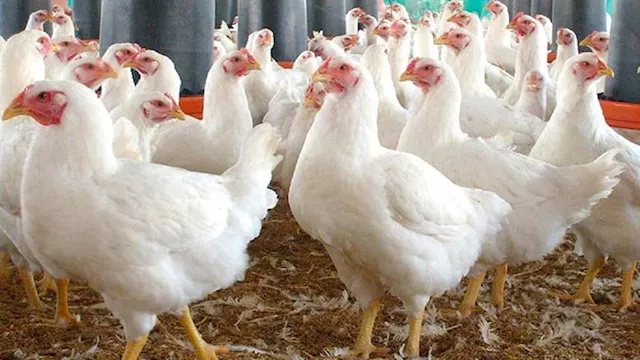 2025 9 16 11 39 59 312