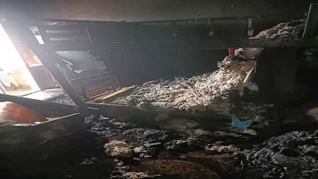 2026 1 30 13 58 10 497