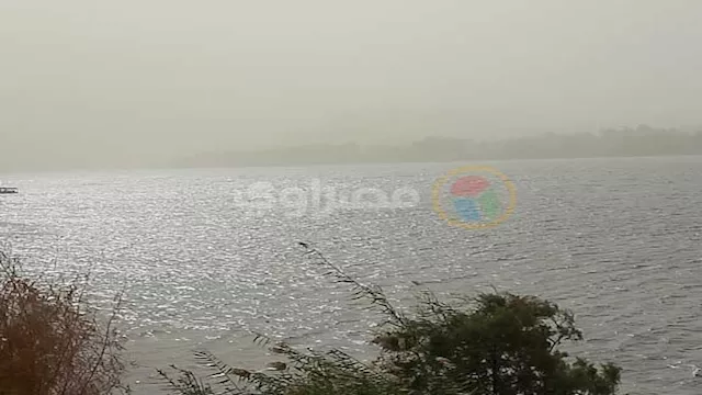 2026 2 17 12 31 32 161