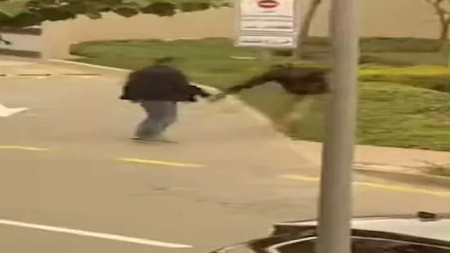 2026 2 20 1 21 16 810