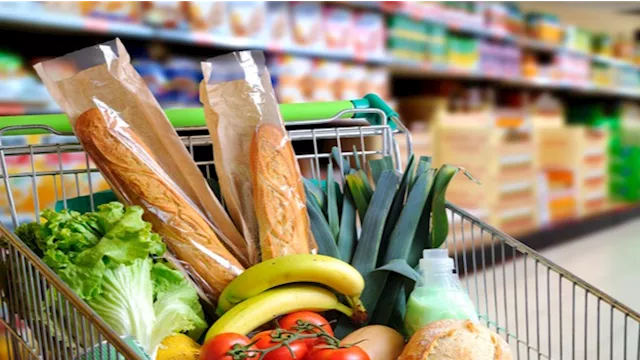 2026 3 12 12 29 11 14