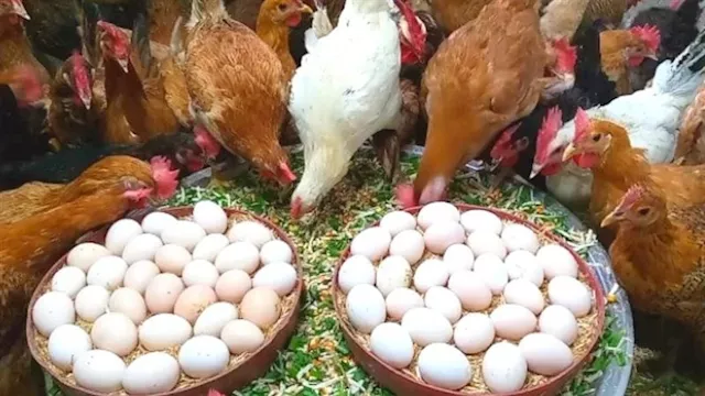 2026 3 13 11 20 24 902 3