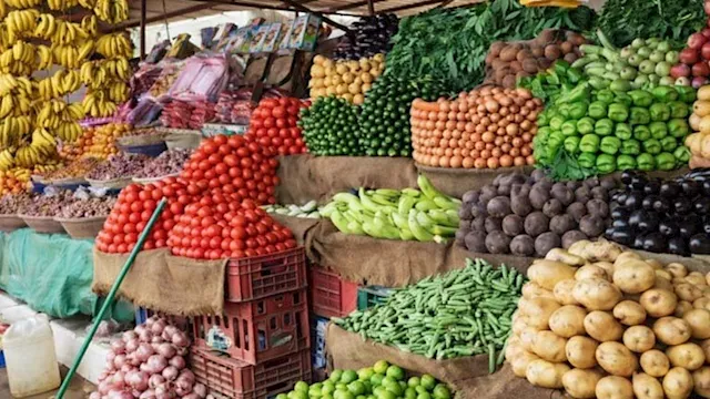 2026 3 13 12 10 4 78