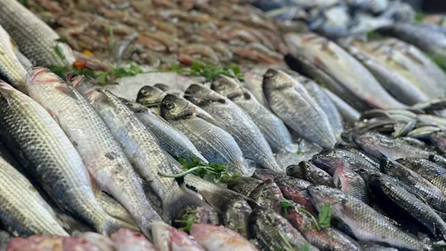 2026 3 13 13 22 51 699