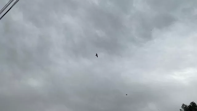 2026 3 13 14 11 28 620