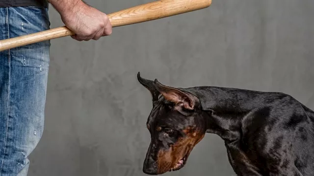 2026 3 13 23 26 29 397