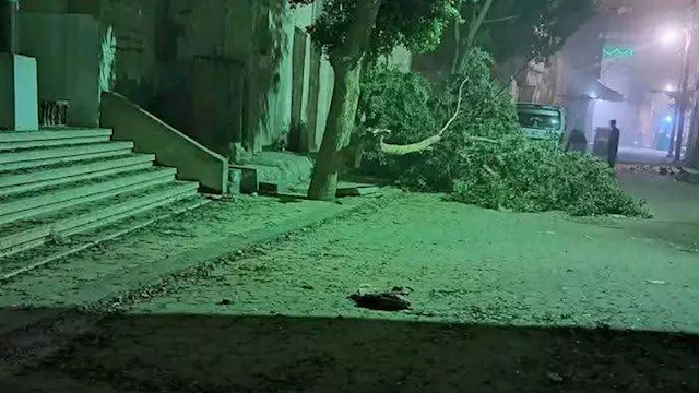 2026 3 14 11 13 43 123