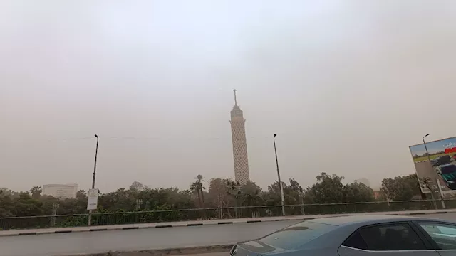 2026 3 14 12 17 53 844