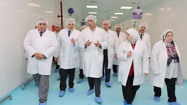 2026 3 14 17 4 53 413