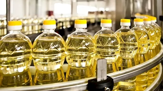 2026 3 15 13 19 58 264