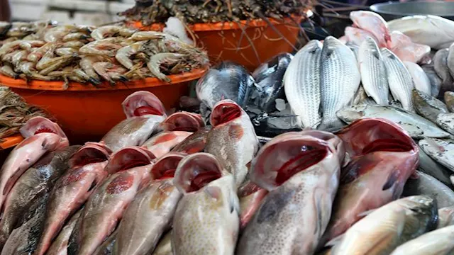 2026 3 16 12 14 51 572