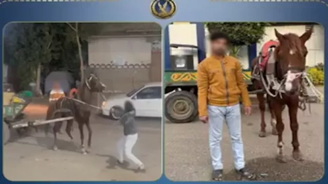 2026 3 16 15 12 35 238