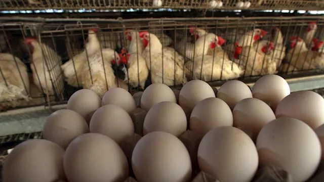 2026 3 17 12 23 57 742