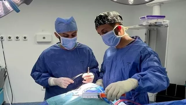 2026 3 17 16 23 35 17