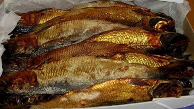 2026 3 18 16 13 4 678