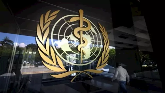 2026 3 18 20 0 52 203 1