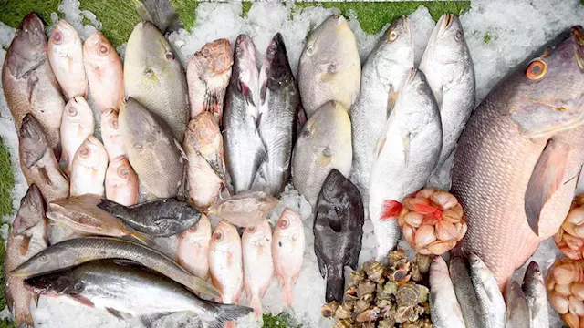 2026 3 19 11 14 36 588