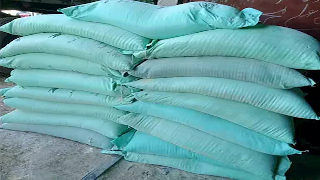 2026 3 1 12 20 47 80