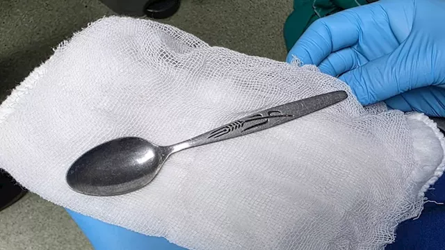 2026 3 21 10 43 22 669