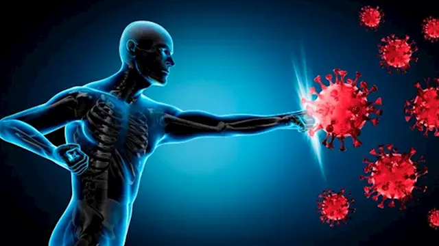 2026 3 22 23 45 57 243