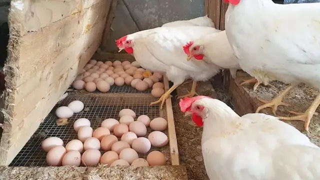 2026 3 23 10 27 51 476