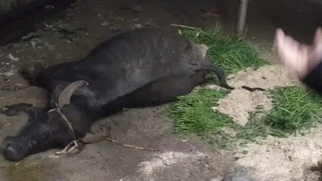 2026 3 26 0 13 19 258