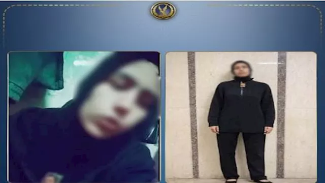 2026 3 26 0 2 49 781