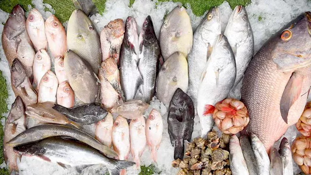 2026 3 26 11 36 4 267