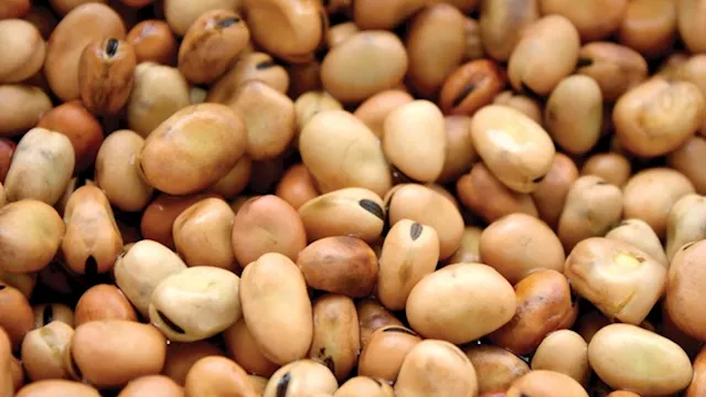 2026 3 26 11 49 23 513