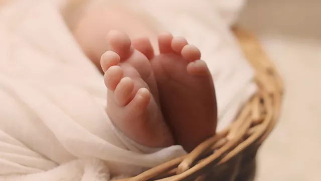 2026 3 30 12 25 37 471