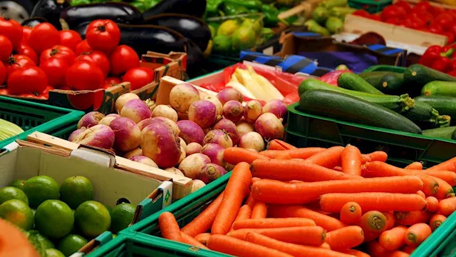 2026 3 31 10 52 29 812