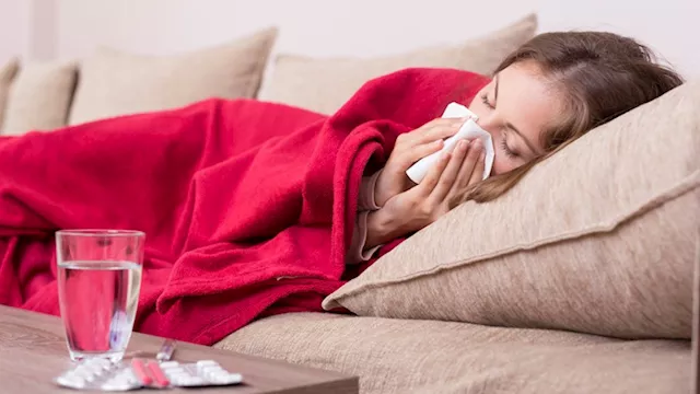 2026 3 31 22 11 6 948