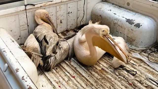 2026 3 3 20 50 52 529