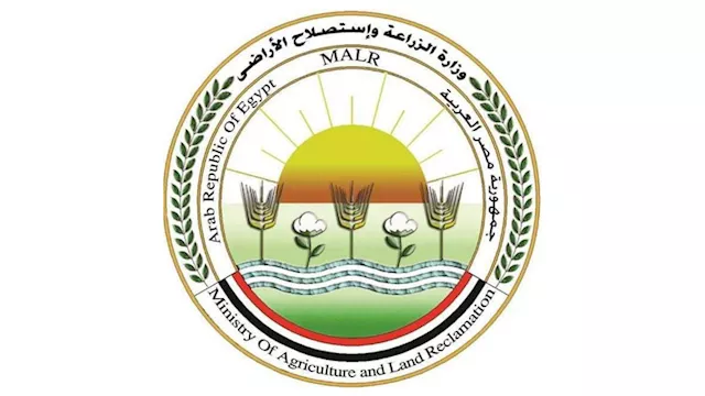 2026 3 7 13 58 24 399