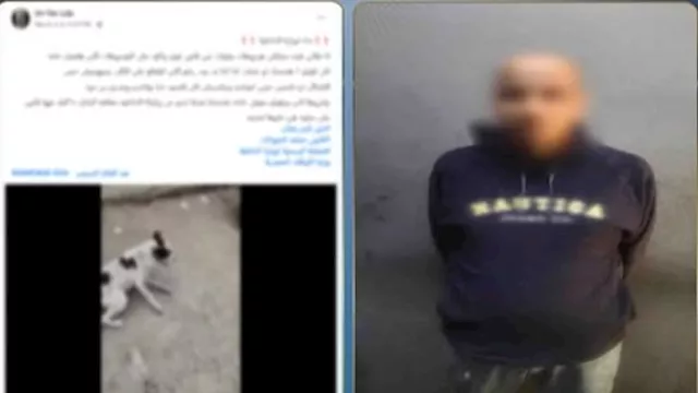 2026 3 7 16 8 49 267