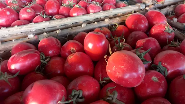 2026 3 9 23 47 57 330