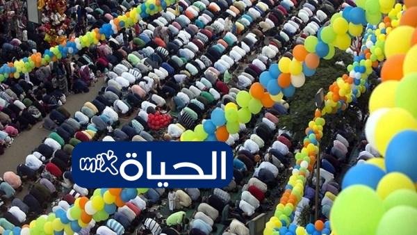 8351016650636202503240957425742