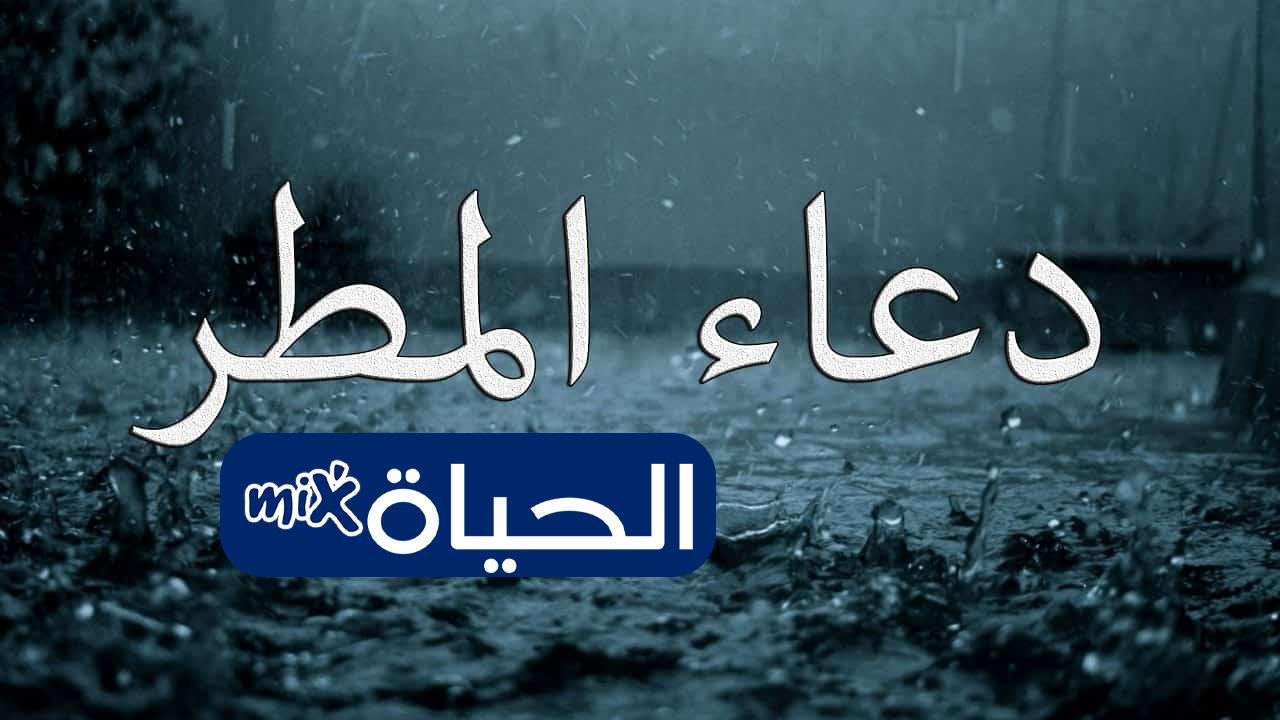 D8AFD8B9D8A7D8A1 D986D8B2D988D984 D8A7D984D985D8B7D8B1