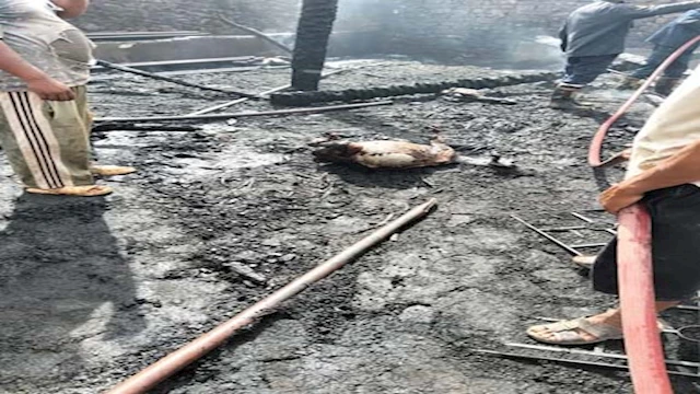 2025 4 24 22 29 50 56