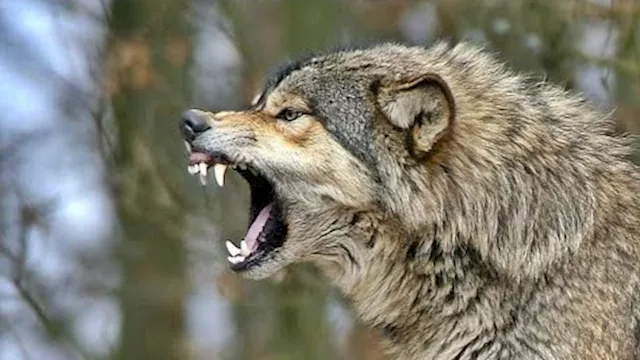 2025 6 11 13 54 29 137